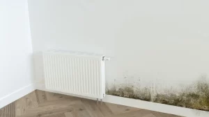 Damp and mould growth on a white wall near a radiator, indicating potential water damage and ventilation issues.